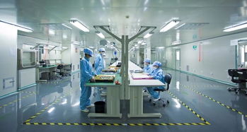 宠物DR技术大比拼 选择适合你的X光诊断利器